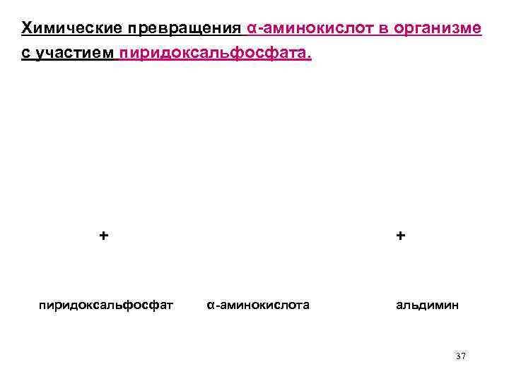 Химические превращения α-аминокислот в организме с участием пиридоксальфосфата. + пиридоксальфосфат + α-аминокислота альдимин 37