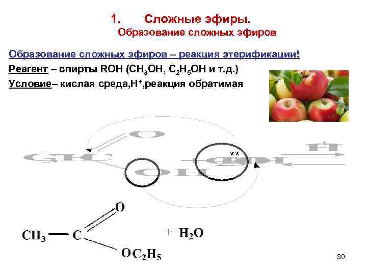 1. Сложные эфиры. Образование сложных эфиров – реакция этерификации! Реагент – спирты ROH (CH