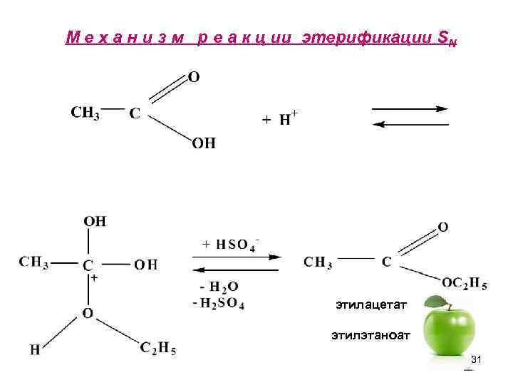 М е х а н и з м р е а к ц ии