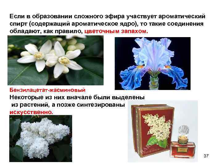 Если в образовании сложного эфира участвует ароматический спирт (содержащий ароматическое ядро), то такие соединения