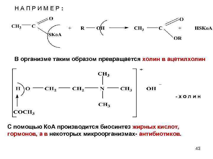 Н А П Р И М Е Р : В организме таким образом превращается