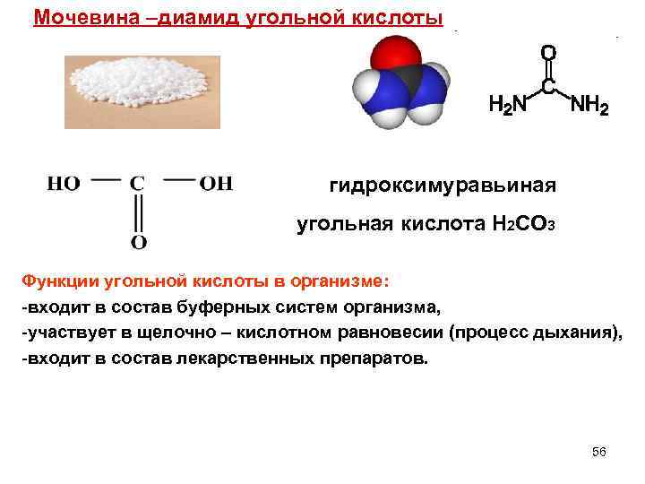 Мочевина –диамид угольной кислоты гидроксимуравьиная угольная кислота Н 2 СО 3 Функции угольной кислоты