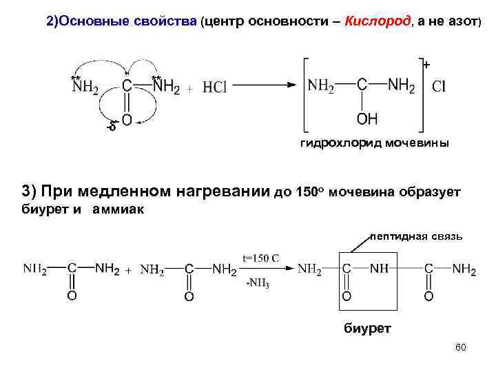 2)Основные свойства (центр основности – Кислород, а не азот) + ** ** - гидрохлорид