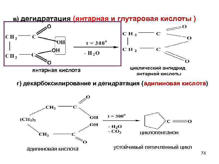 Схема приема янтарной кислоты