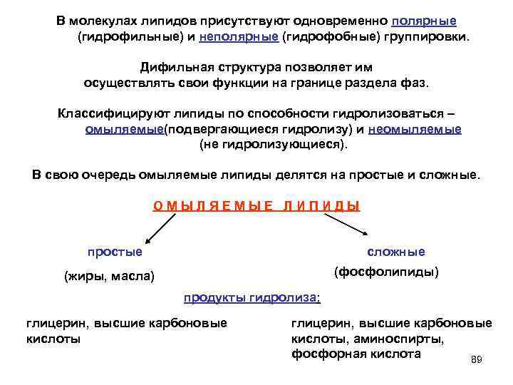В молекулах липидов присутствуют одновременно полярные (гидрофильные) и неполярные (гидрофобные) группировки. Дифильная структура позволяет