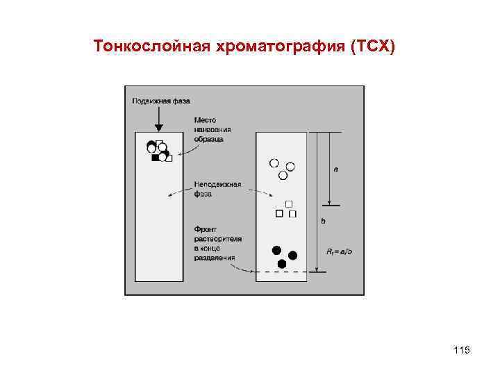 Тонкослойная хроматография (ТСХ) 115 