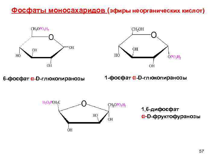 Фосфаты моносахаридов (эфиры неорганических кислот) 6 -фосфат α-D-глюкопиранозы 1, 6 -дифосфат α-D-фруктофуранозы 57 