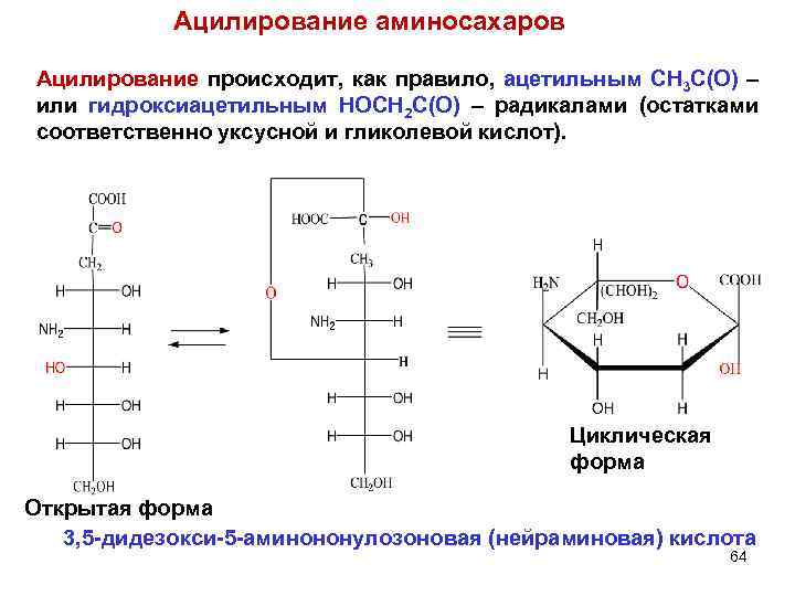 Ацилирование аминосахаров Ацилирование происходит, как правило, ацетильным CH 3 C(O) – или гидроксиацетильным HOCH