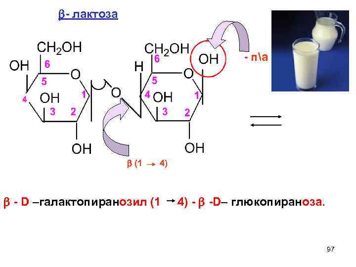  - лактоза - па (1 4) - D –галaктопиранозил (1 4) - -D–
