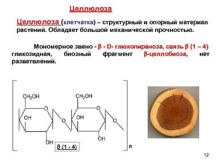 Целлюлоза (клетчатка) – структурный и опорный материал растений. Обладает большой механической прочностью. Мономерное звено
