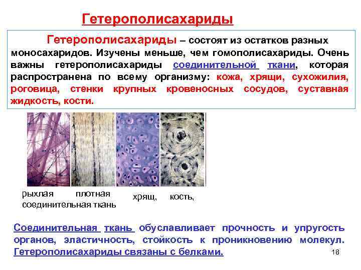 Гетерополисахариды – состоят из остатков разных моносахаридов. Изучены меньше, чем гомополисахариды. Очень важны гетерополисахариды