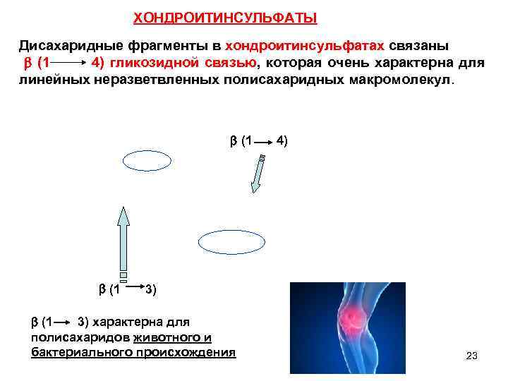 ХОНДРОИТИНСУЛЬФАТЫ Дисахаридные фрагменты в хондроитинсульфатах связаны (1 4) гликозидной связью, которая очень характерна для