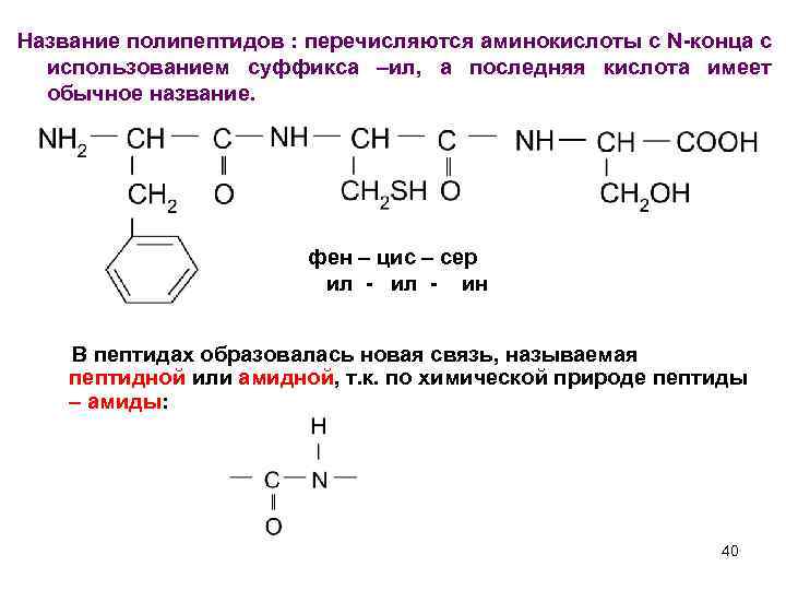 Название полипептидов : перечисляются аминокислоты с N-конца с использованием суффикса –ил, а последняя кислота