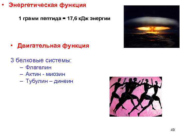  • Энергетическая функция 1 грамм пептида = 17, 6 к. Дж энергии •