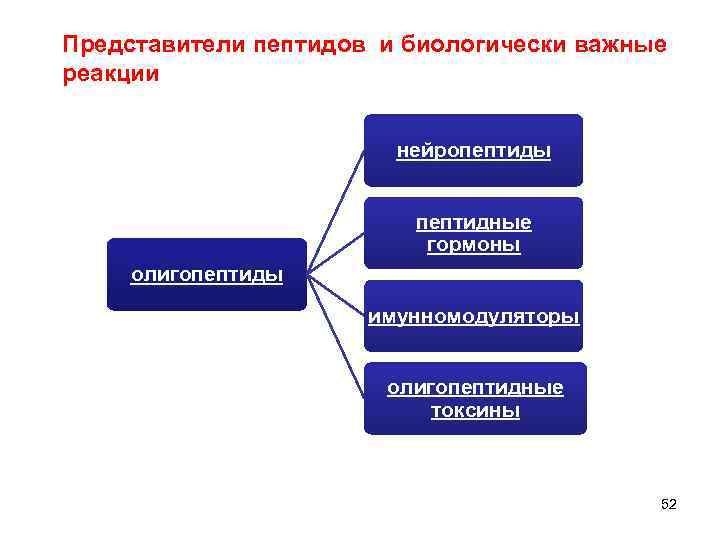 Представители пептидов и биологически важные реакции нейропептиды пептидные гормоны олигопептиды имунномодуляторы олигопептидные токсины 52