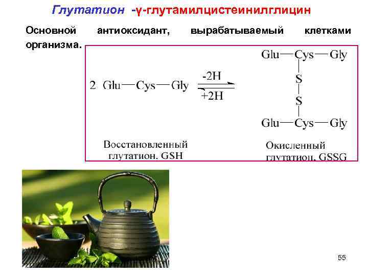 Глутатион -γ-глутамилцистеинилглицин Основной организма. антиоксидант, вырабатываемый клетками 55 