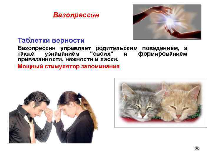 Вазопрессин Таблетки верности Вазопрессин управляет родительским поведением, а также узнаванием "своих" и формированием привязанности,