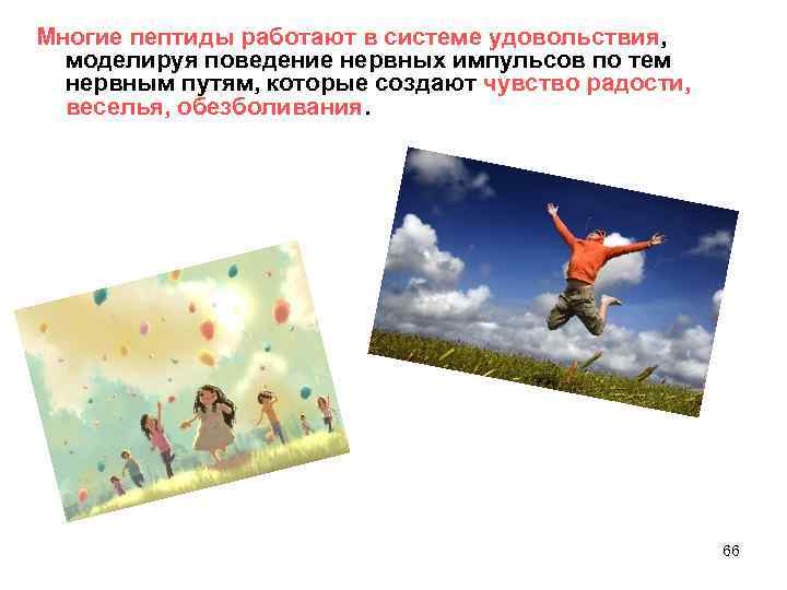 Многие пептиды работают в системе удовольствия, моделируя поведение нервных импульсов по тем нервным путям,