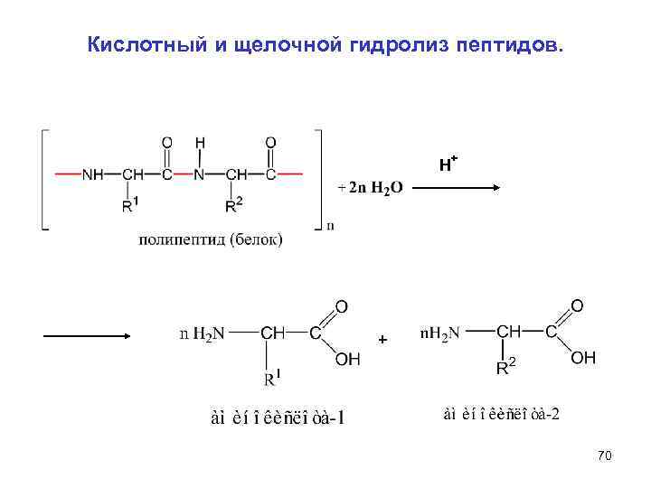 Кислотный и щелочной гидролиз пептидов. + H + 70 