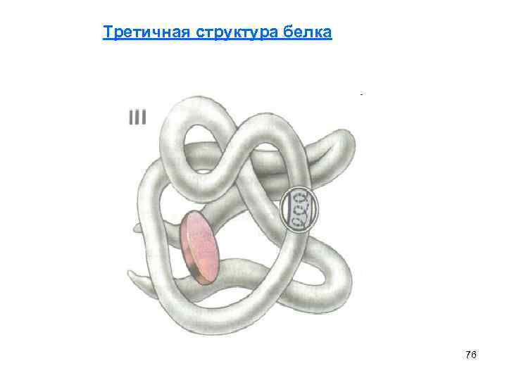 Третичная структура белка 76 