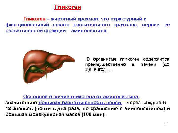 Гликоген – животный крахмал, это структурный и функциональный аналог растительного крахмала, вернее, ее разветвленной