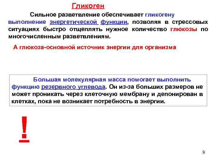Гликоген Сильное разветвление обеспечивает гликогену выполнение энергетической функции, позволяя в стрессовых ситуациях быстро отщеплять