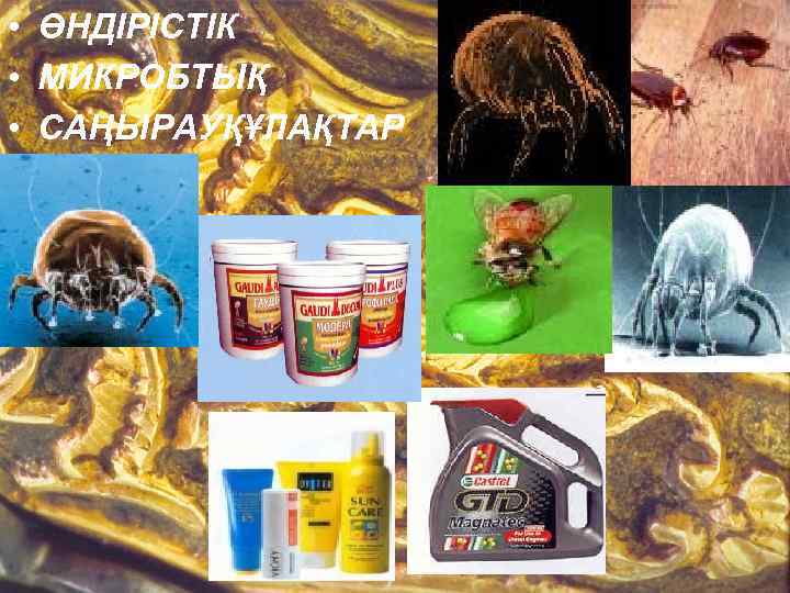  • ӨНДІРІСТІК • МИКРОБТЫҚ • САҢЫРАУҚҰЛАҚТАР 