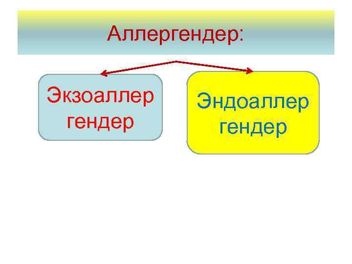 Аллергендер: Экзоаллер гендер Эндоаллер гендер 