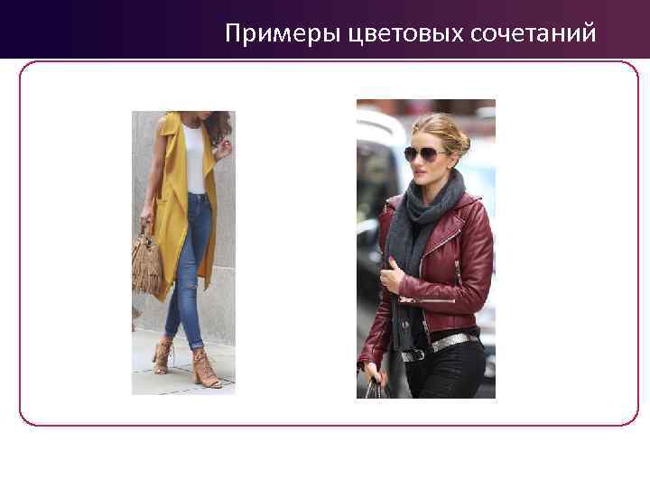 Примеры цветовых сочетаний 