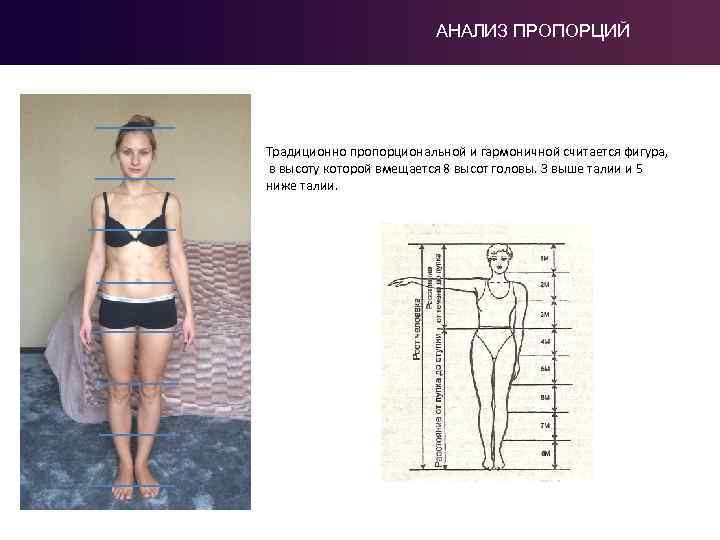 АНАЛИЗ ПРОПОРЦИЙ Традиционно пропорциональной и гармоничной считается фигура, в высоту которой вмещается 8 высот
