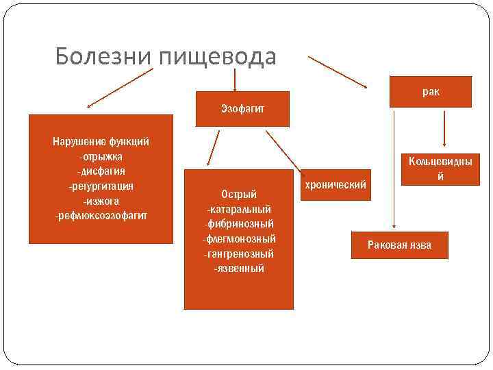 Болезни пищевода рак Эзофагит Нарушение функций -отрыжка -дисфагия -регургитация -изжога -рефлюксоэзофагит Острый -катаральный -фибринозный