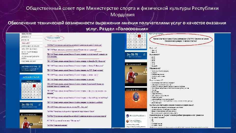 Общественный совет при Министерстве спорта и физической культуры Республики Мордовия Обеспечение технической возможности выражения