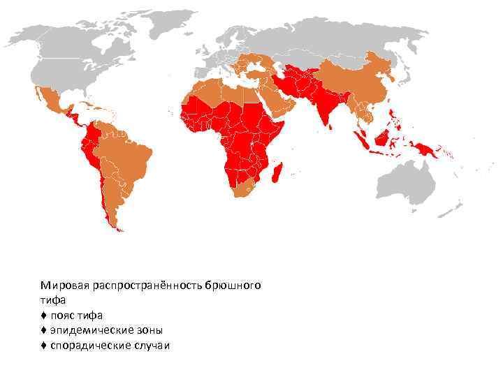 Мировая распространённость брюшного тифа ♦ пояс тифа ♦ эпидемические зоны ♦ спорадические случаи 