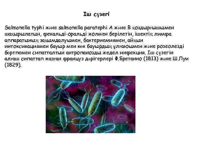 Іш сүзегі Salmonella typhi және salmonella paratephi А және В қоздырғышымен шақырылатын, фекальді-оральді жолмен