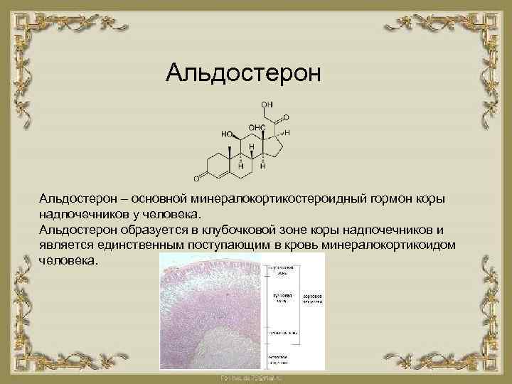 Первичный гиперальдостеронизм презентация