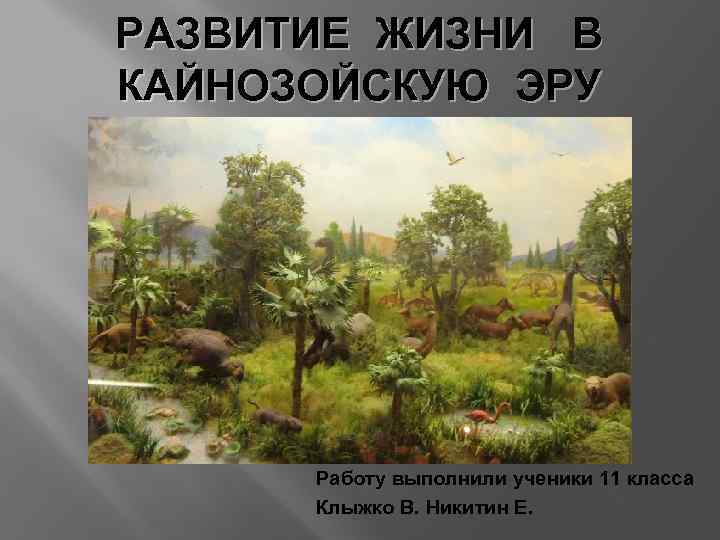 РАЗВИТИЕ ЖИЗНИ В КАЙНОЗОЙСКУЮ ЭРУ Работу выполнили ученики 11 класса Клыжко В. Никитин Е.