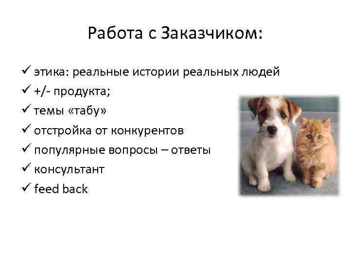 Работа с Заказчиком: ü этика: реальные истории реальных людей ü +/- продукта; ü темы