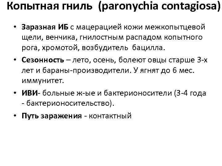 Копытная гниль (paronychia contagiosa) • Заразная ИБ с мацерацией кожи межкопытцевой щели, венчика, гнилостным