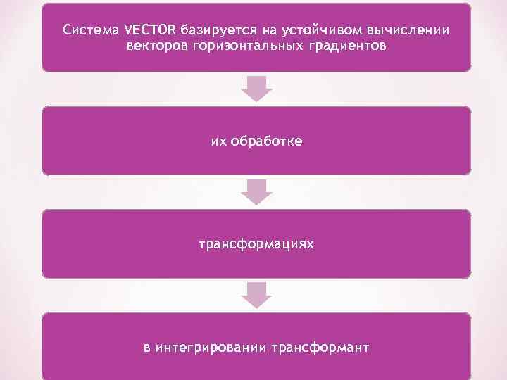 Система VECTOR базируется на устойчивом вычислении векторов горизонтальных градиентов их обработке трансформациях в интегрировании