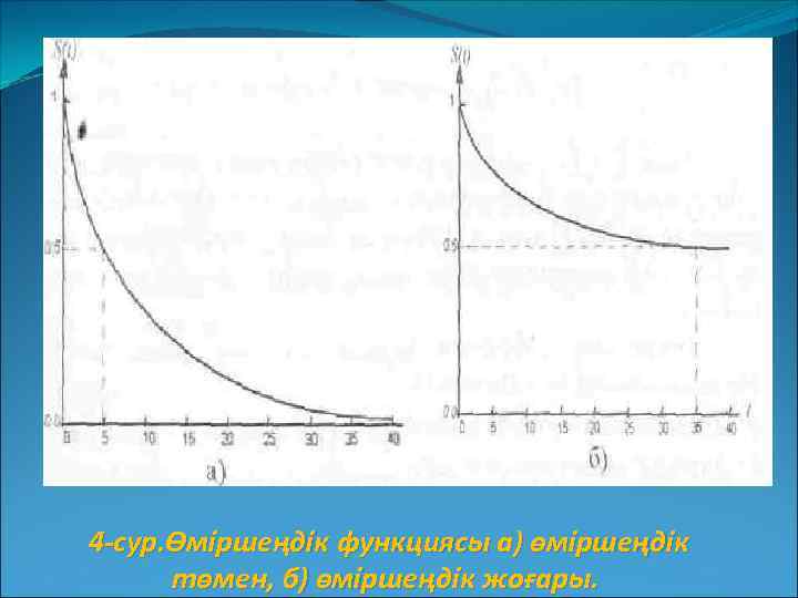  4 -сур. Өміршеңдік функциясы а) өміршеңдік төмен, б) өміршеңдік жоғары. 