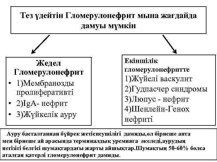 Тез үдейтін Гломерулонефрит мына жағдайда дамуы мүмкін Жедел Гломерулонефрит • 1)Мембранозды пролиферативті • 2)Ig.