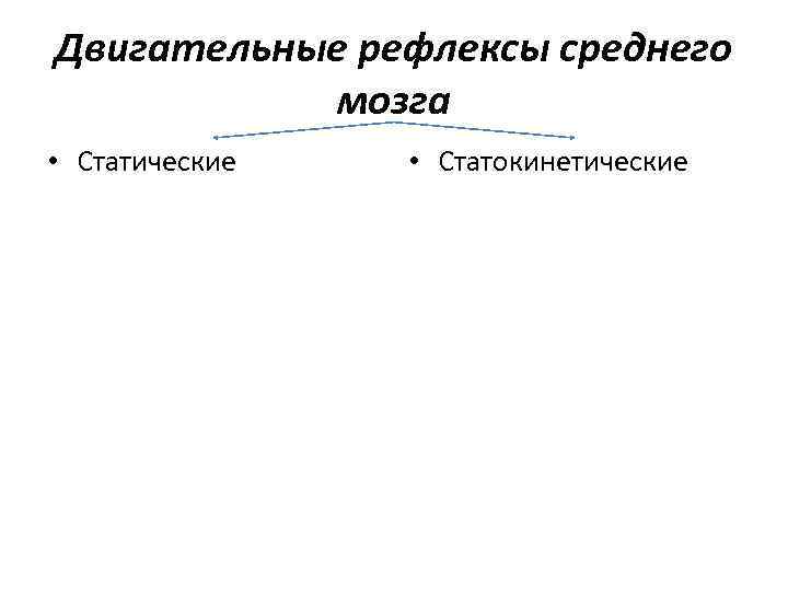 Двигательные рефлексы среднего мозга • Статические • Статокинетические 