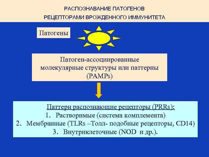 РАСПОЗНАВАНИЕ ПАТОГЕНОВ РЕЦЕПТОРАМИ ВРОЖДЕННОГО ИММУНИТЕТА Патогены Патоген-ассоциированные молекулярные структуры или паттерны (РАМРs) Паттерн распознающие