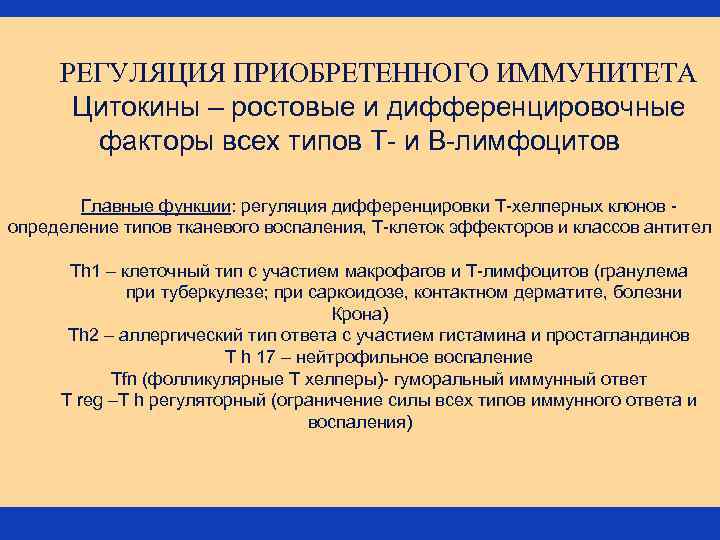 РЕГУЛЯЦИЯ ПРИОБРЕТЕННОГО ИММУНИТЕТА Цитокины – ростовые и дифференцировочные факторы всех типов Т- и В-лимфоцитов