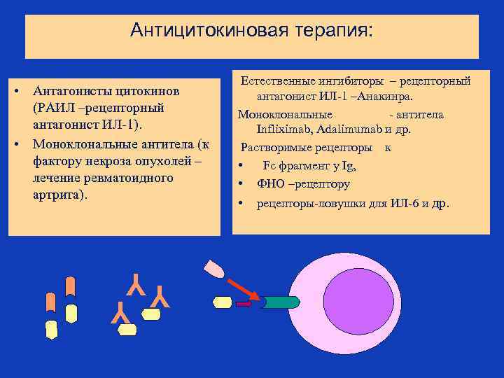 Антицитокиновая терапия: • Антагонисты цитокинов (РАИЛ –рецепторный антагонист ИЛ-1). • Моноклональные антитела (к фактору