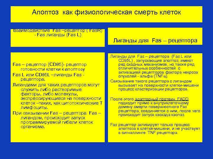 Апоптоз как физиологическая смерть клеток Взаимодействие Fas –рецептор ( Fas. R) - Fas лиганды
