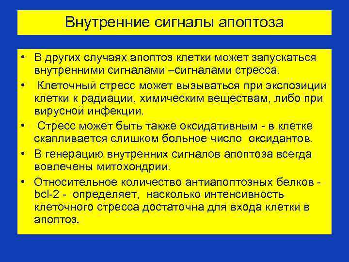 Внутренние сигналы апоптоза • В других случаях апоптоз клетки может запускаться внутренними сигналами –сигналами