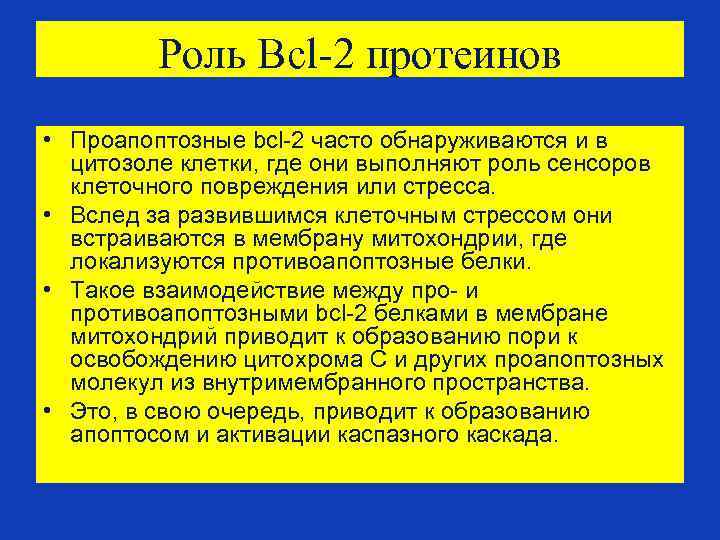 Роль Bcl-2 протеинов • Проапоптозные bcl-2 часто обнаруживаются и в цитозоле клетки, где они