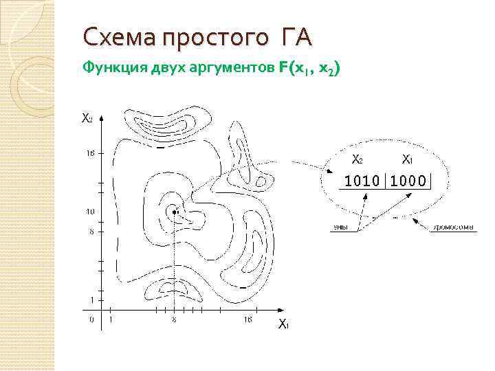 Схема простого ГА Функция двух аргументов F(x 1, x 2) 