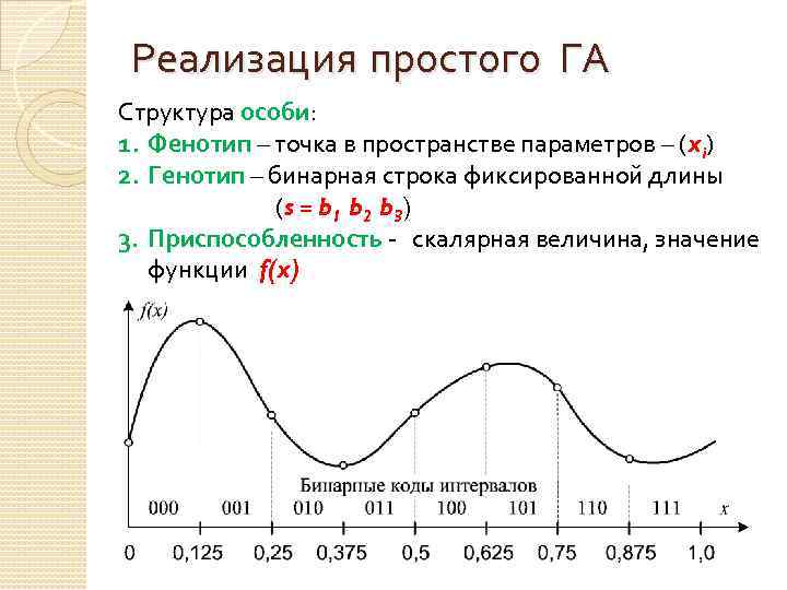 Реализация простого ГА Структура особи: 1. Фенотип – точка в пространстве параметров – (xi)